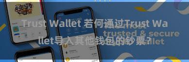 Trust Wallet 若何通过Trust Wallet导入其他钱包的钞票？