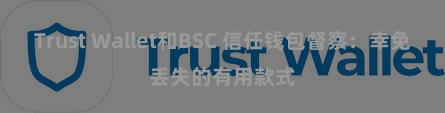 Trust Wallet和BSC 信任钱包督察：幸免丢失的有用款式